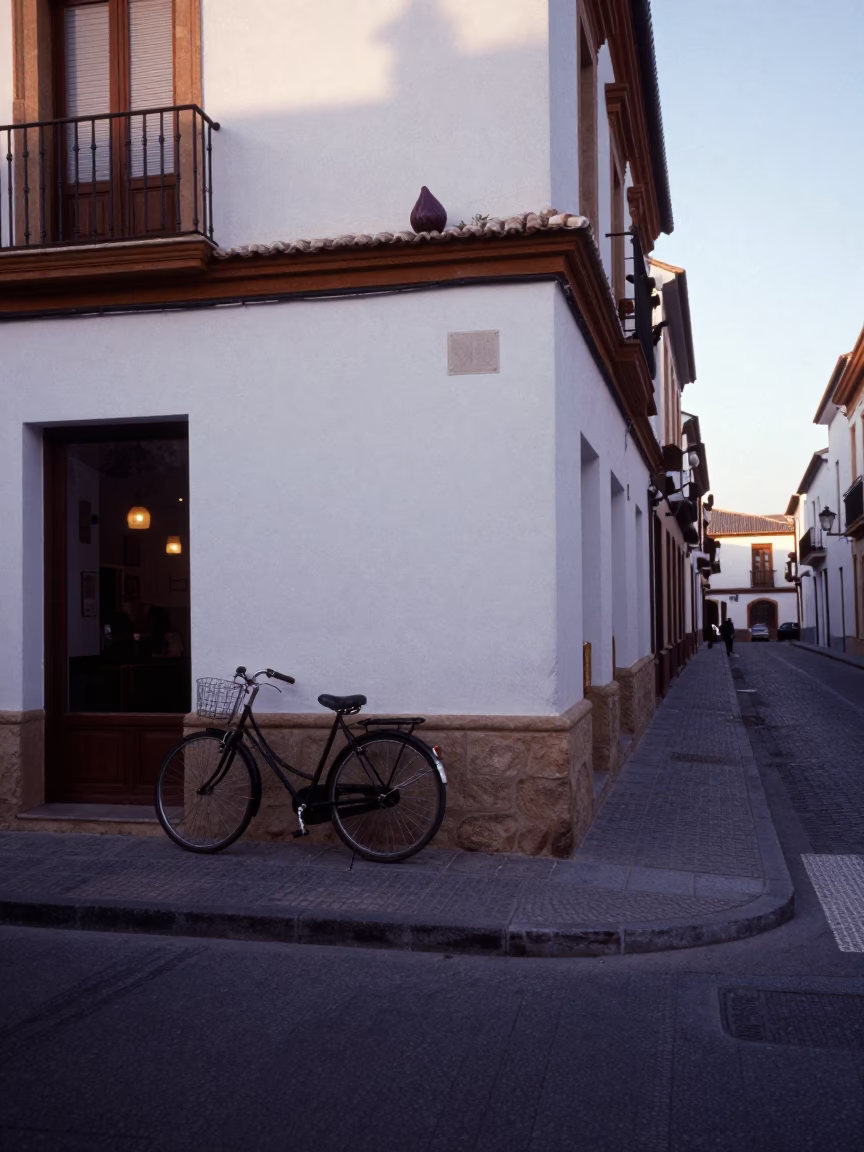 Early Morning Granada Street Scene with Bicycle and Fig Tree Before Dawn in in Granada, Spain