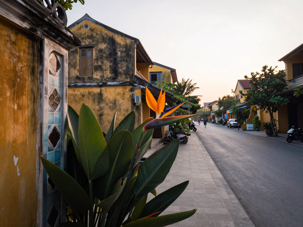 Early Morning Hoi An Street Scene with Bird of Paradise Flower and Local Life in in Hoi An, Vietnam