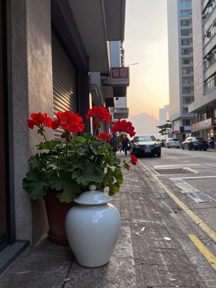 Early Morning Hong Kong Street Scene with Geraniums and Porcelain Jar in in Hong Kong, Hong Kong