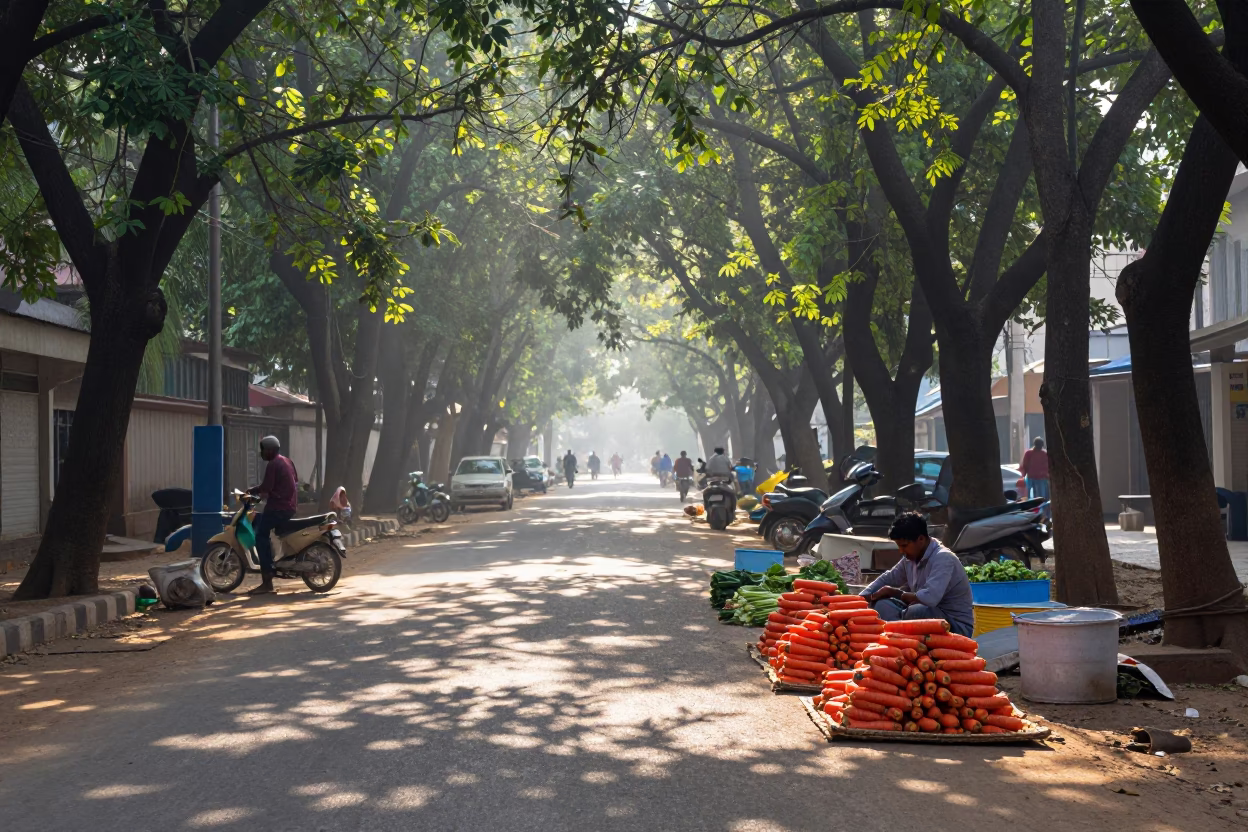 Early Morning Hyderabad Street Scene with Vegetables and Local Life in in Hyderabad, India