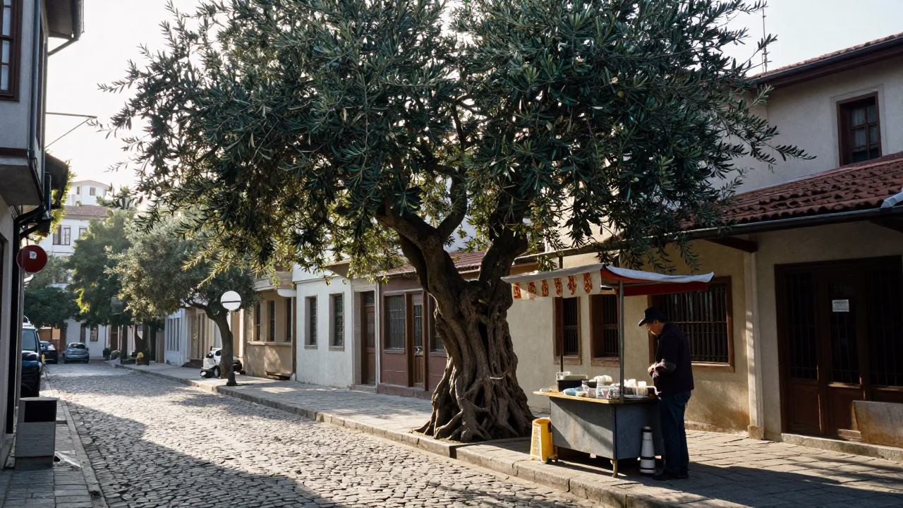 Early Morning Izmir Street Scene with Olive Tree and Local Market Details in in Izmir, Turkey