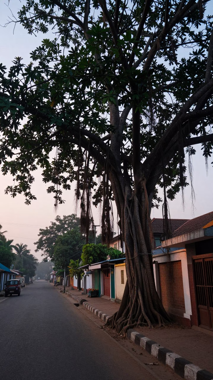 Early Morning Kochi Street Scene with Kapok Tree and Local Breakfast Vendor in in Kochi, India
