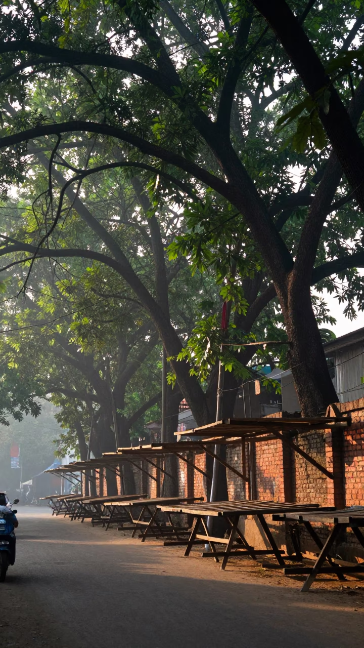Early morning Kolkata street scene with drying racks and fish market auction paddles in in Kolkata, India