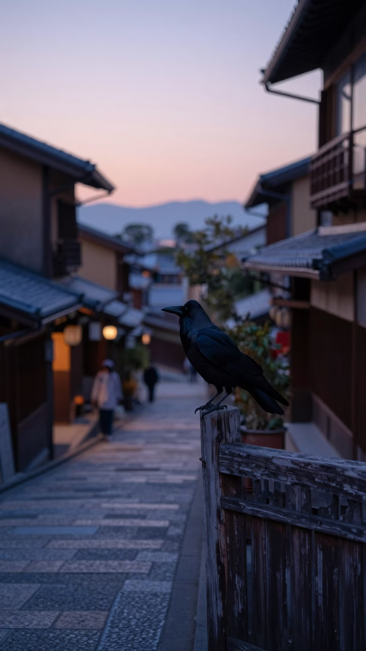 Early Morning Kyoto Street Scene with Crow and Traditional Lanterns Before Dawn in in Kyoto, Japan