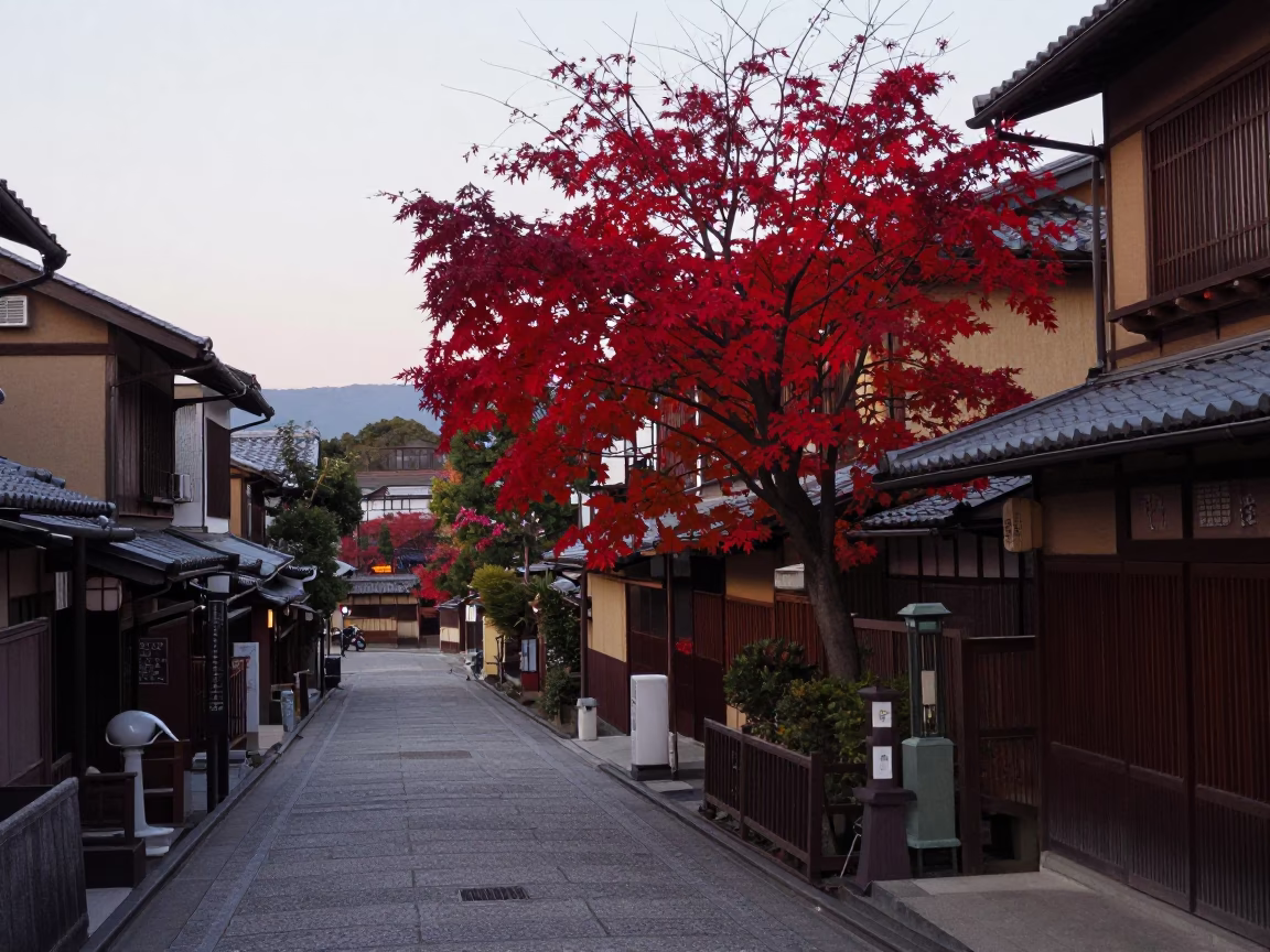 Early Morning Kyoto Street Scene with Japanese Maple and Traditional Architecture in in Kyoto, Japan