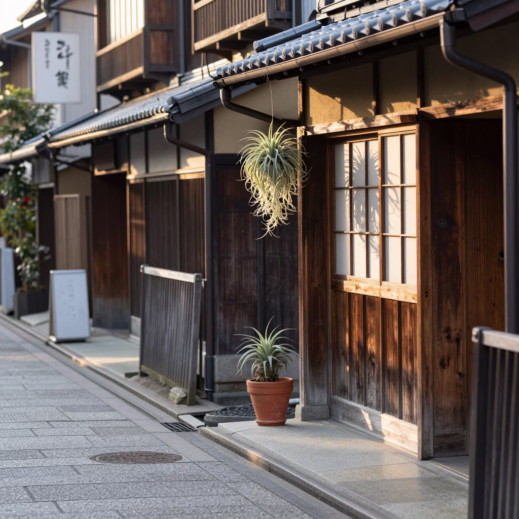 Early Morning Kyoto Street Scene with Traditional Wooden Machiya and Hanging Air Plant in in Kyoto, Japan