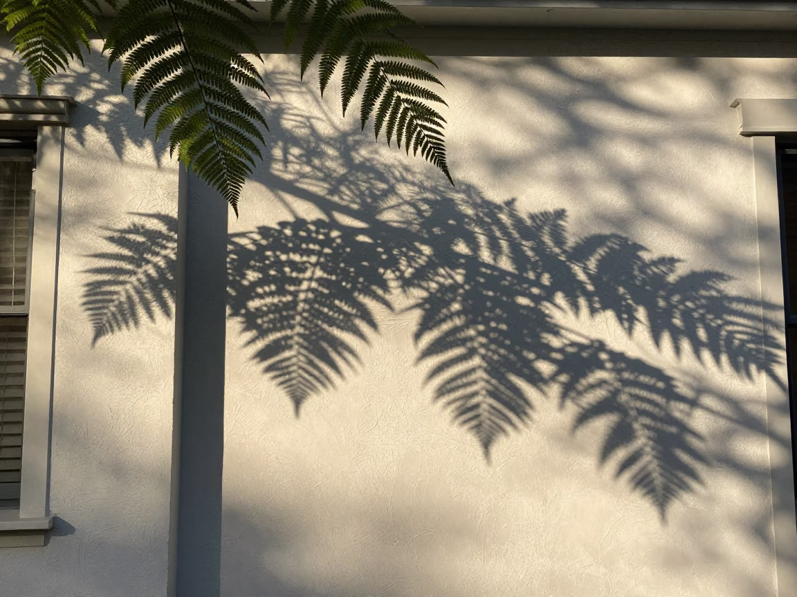 Early Morning Leaf Shadows on Plaster Wall in Historic Portland Oregon Neighborhood in in Portland, Oregon, United States