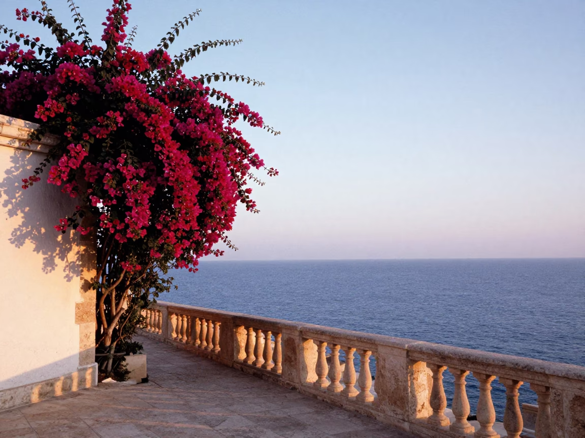 Early Morning Light on Alexandria Mediterranean Coast with Bougainvillea and Historic Stone in in Alexandria, Egypt