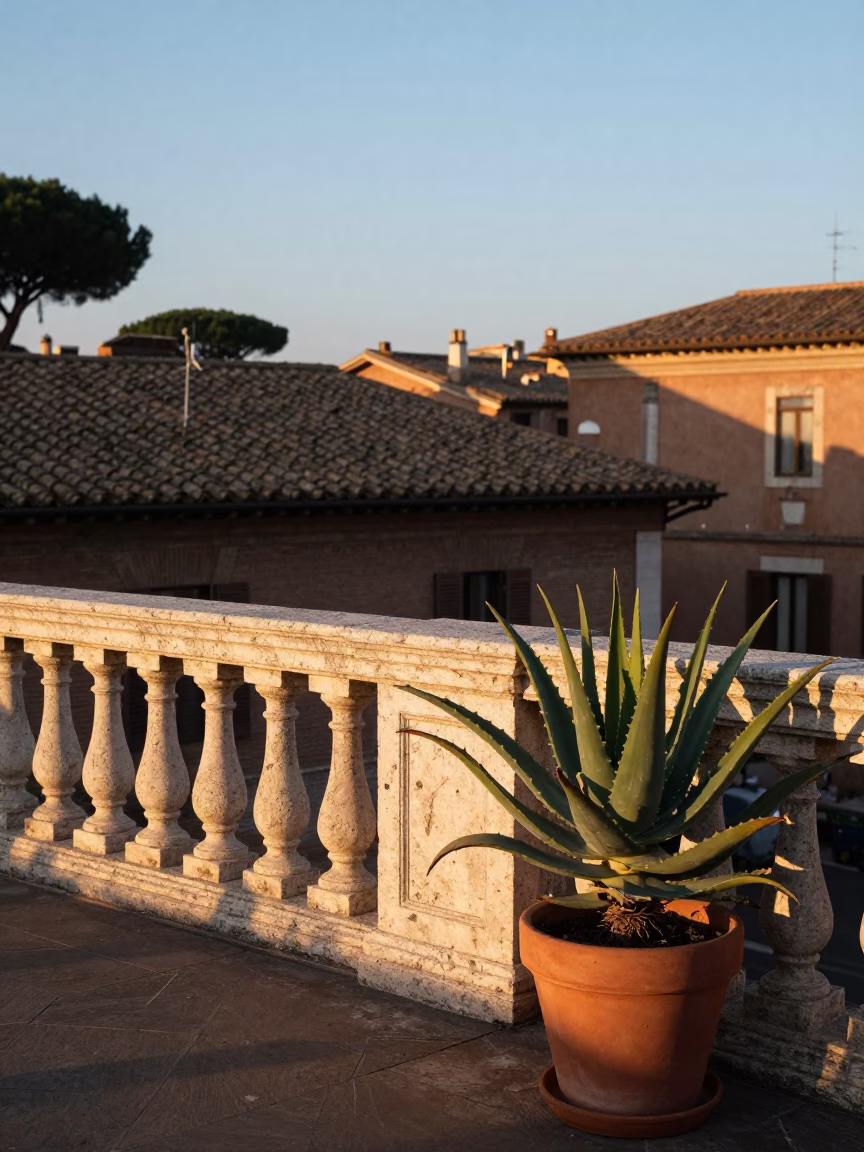 Early Morning Light on Roman Terrace with Aloe Vera and Fountain Pen in in Rome, Italy