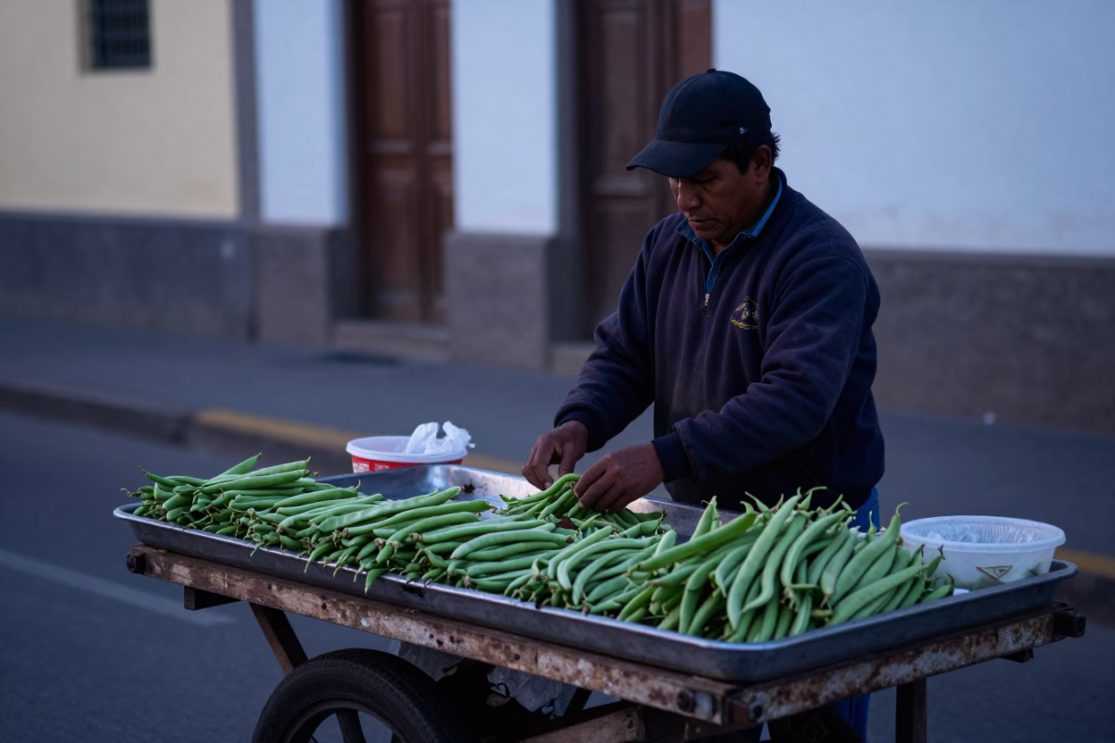 Early Morning Lima Street Vendor Selling Fresh String Beans and Echeveria Plants Before Sunrise in in Lima, Peru