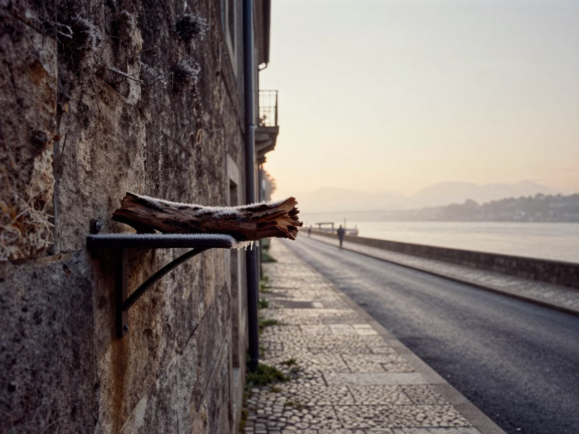 Early Morning Lisbon Street Scene with Condensation and Driftwood Near Tagus River in in Lisbon, Portugal