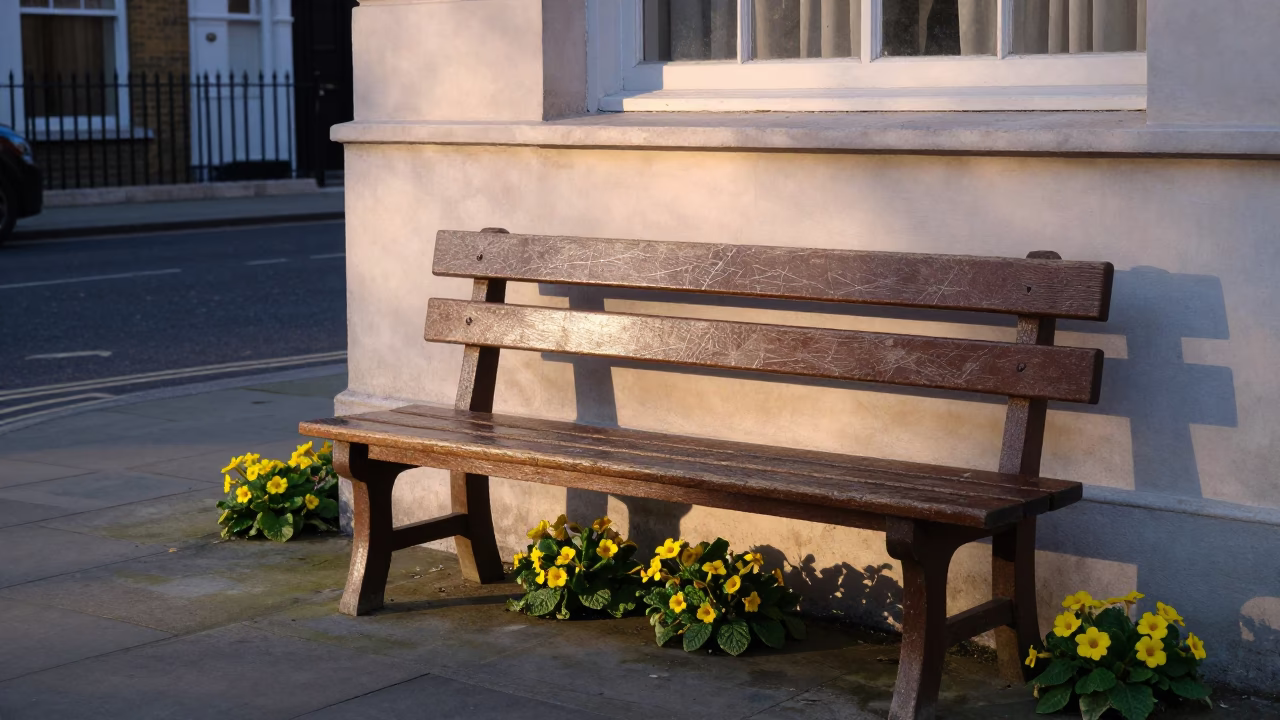 Early Morning London Street Scene with Scratched Wooden Bench and Primroses in in London, United Kingdom