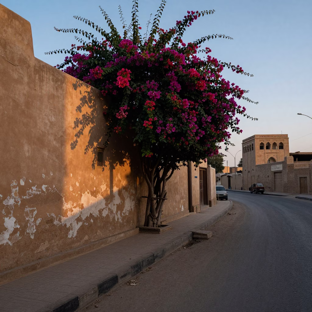 Early Morning Luxor Street Scene with Bougainvillea and Traditional Architecture in in Luxor, Egypt