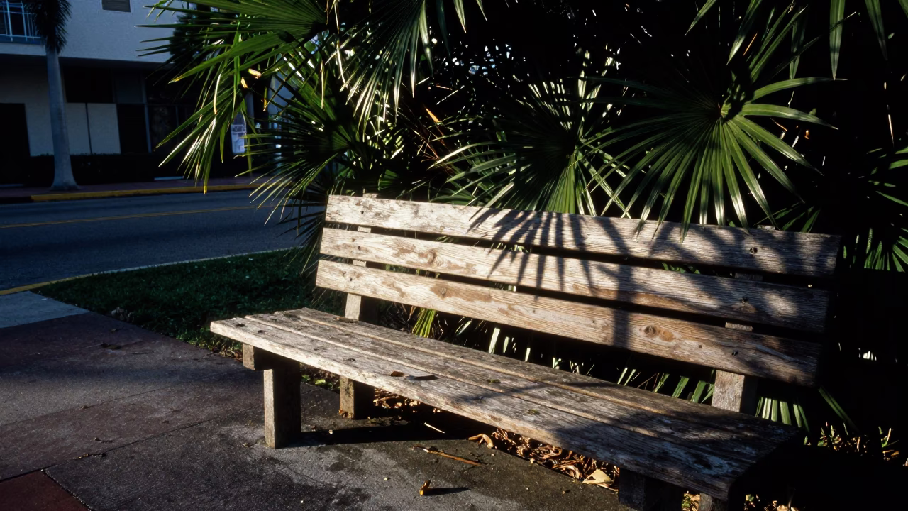 Early Morning Miami Street Corner with Leaf Shadows and Vintage Bench Light in in Miami, Florida, United States