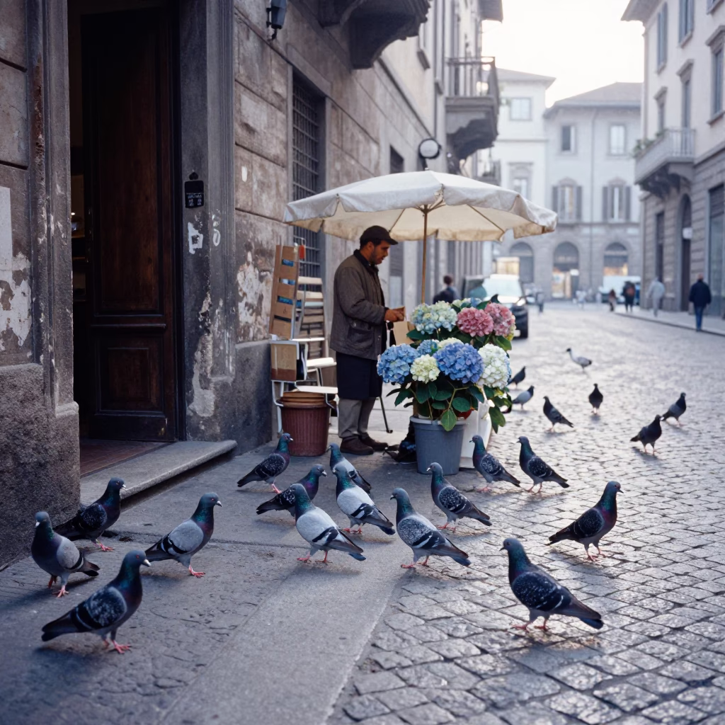 Early Morning Milan Street Scene with Pigeons and Vintage Majolica Plate in in Milan, Italy