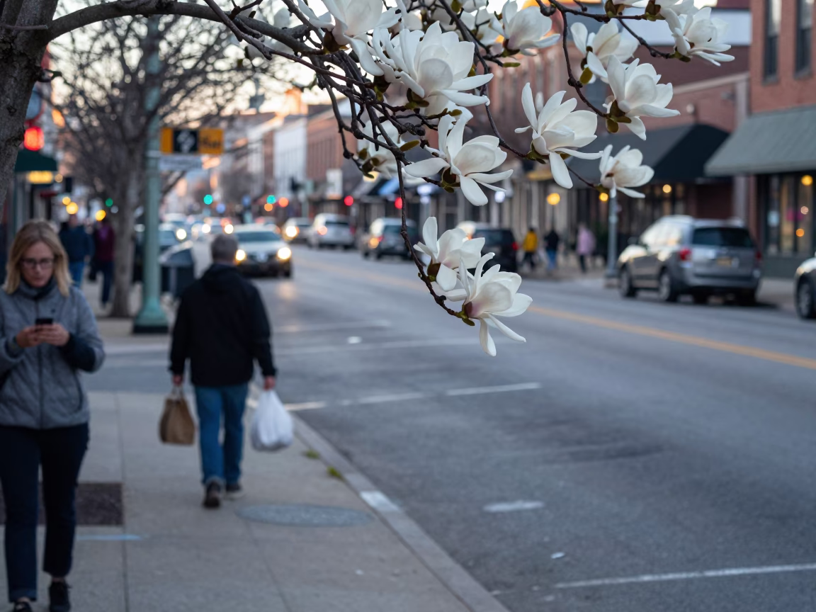 Early Morning Nashville Street Scene with Magnolia Bloom and Glass Handle in in Nashville, Tennessee, United States
