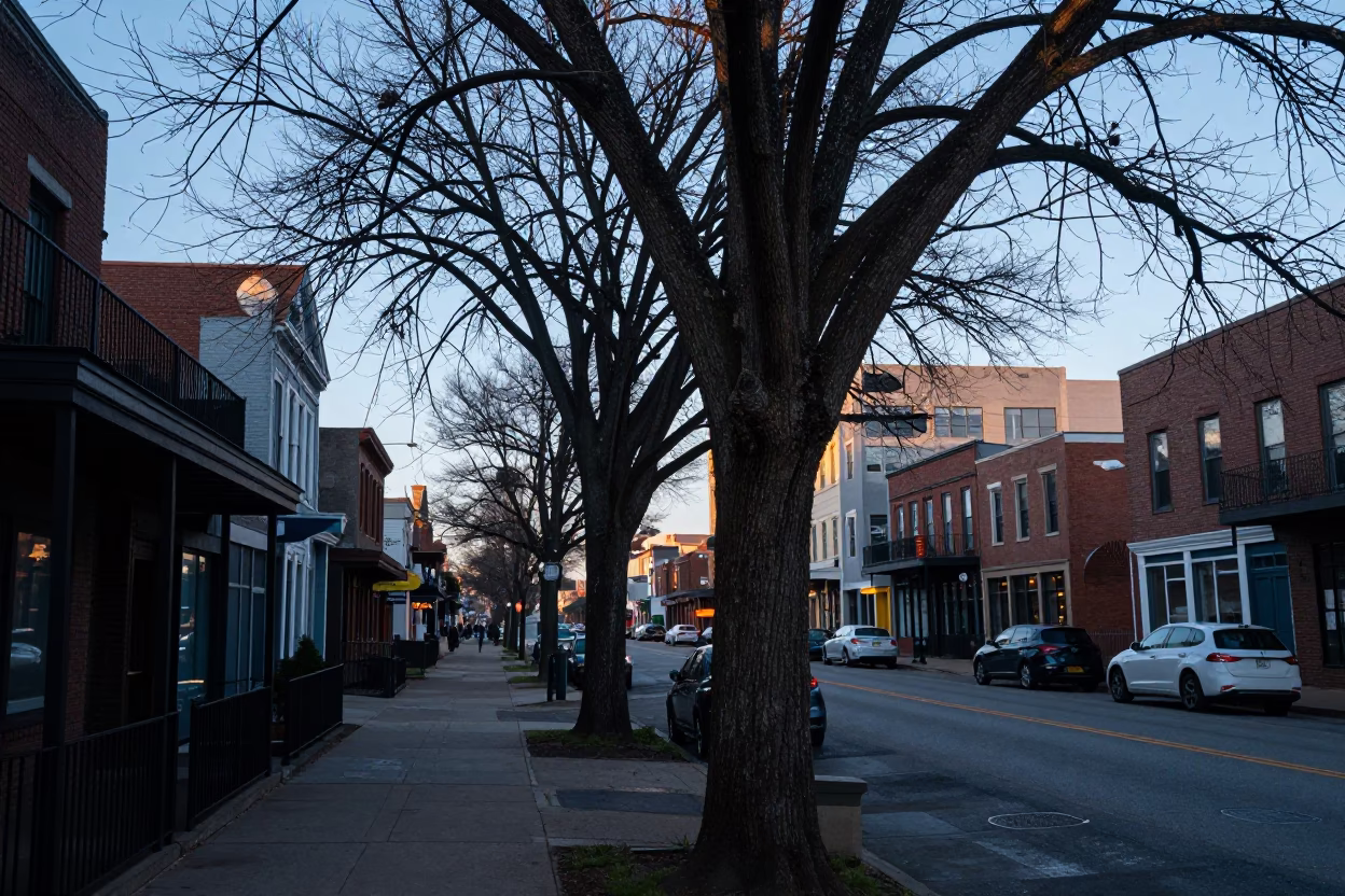 Early Morning Nashville Tennessee Street Scene Before Sunrise with Live Oak and Spanish Moss in in Nashville, Tennessee, United States