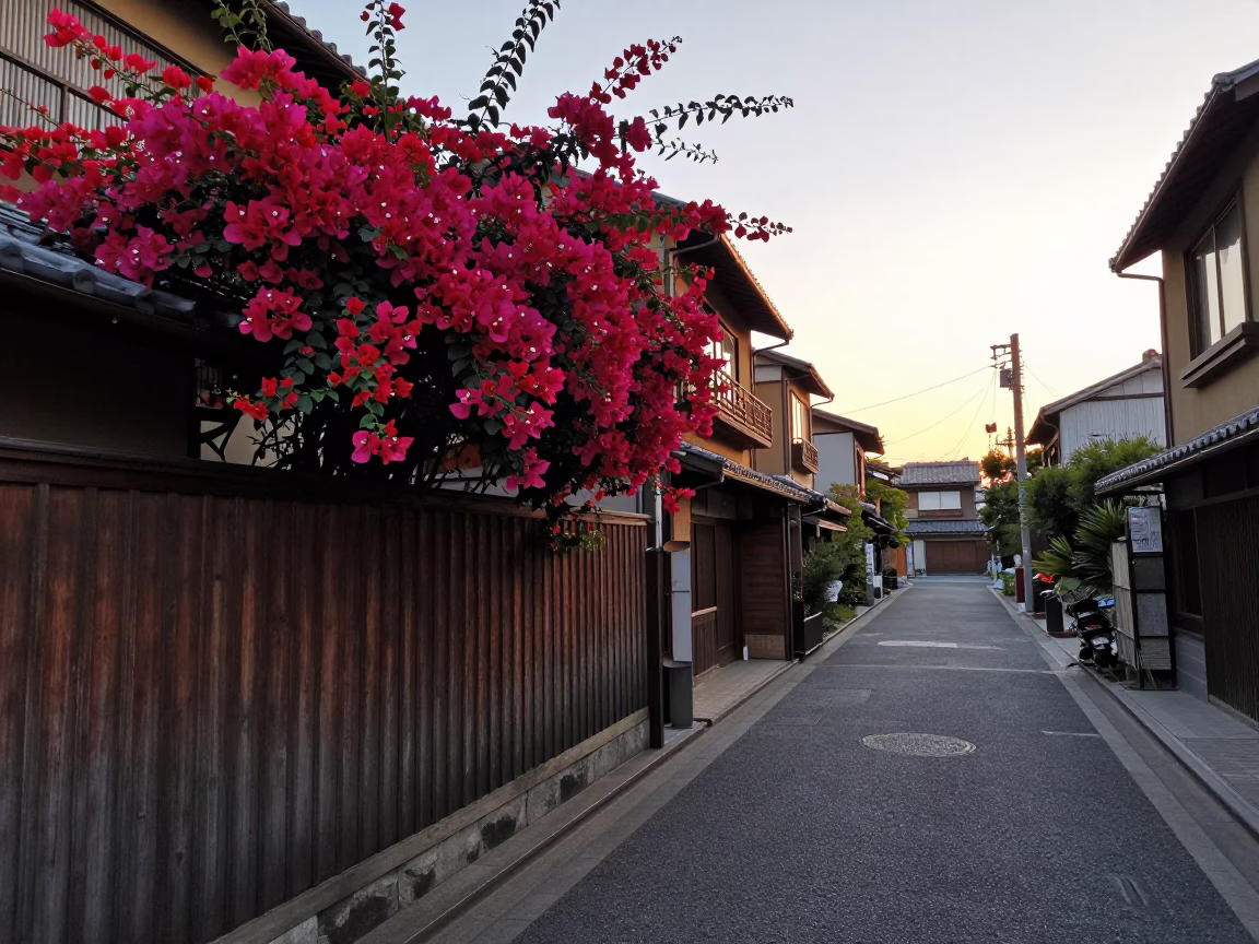Early Morning Osaka Japan Street Scene with Bougainvillea and Traditional Latch in in Osaka, Japan