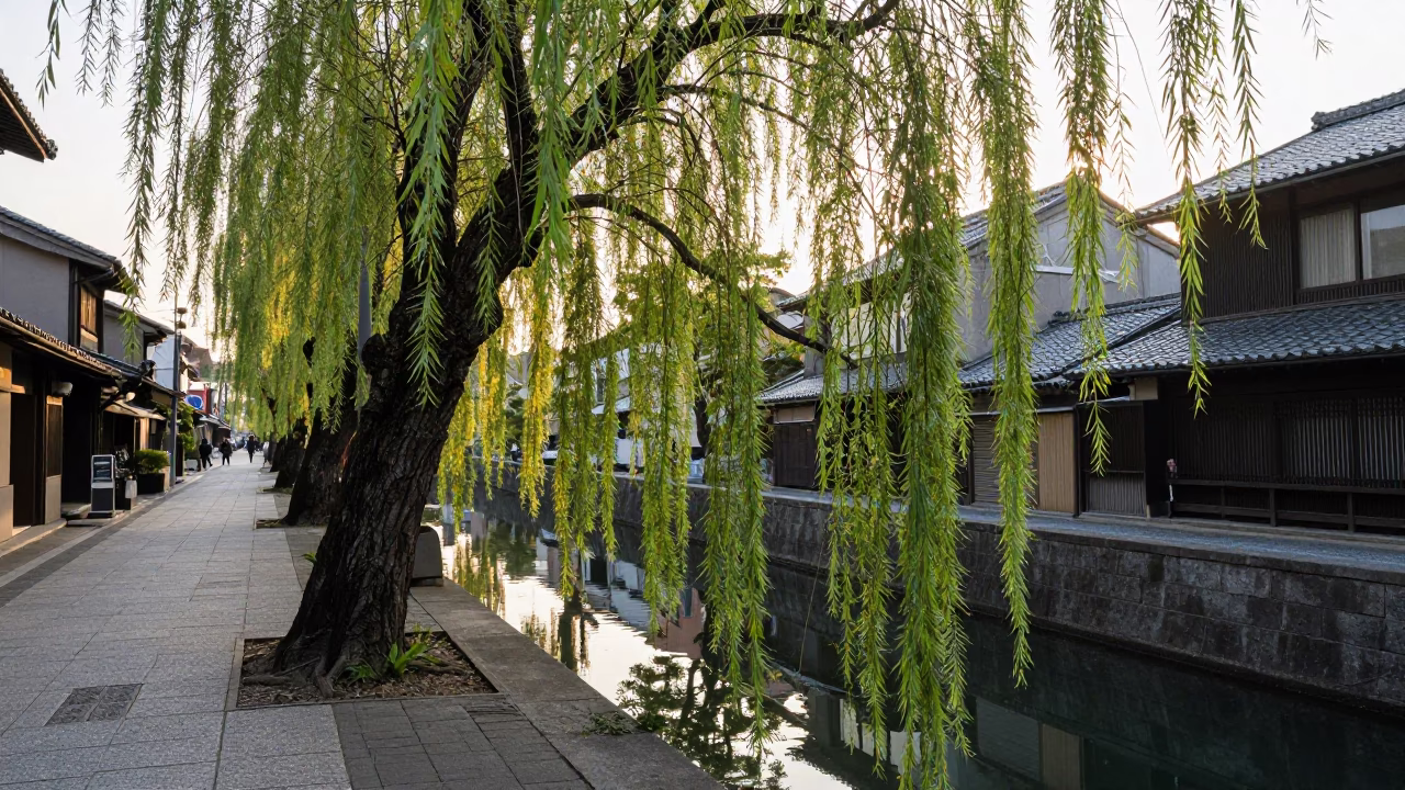 Early Morning Osaka Street Scene with Weeping Willow and Traditional Architecture in in Osaka, Japan