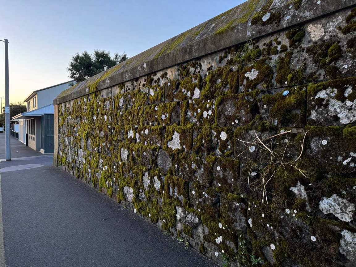 Early Morning Perth Street Scene with Mossy Stone Wall and Laundry Basket in in Perth, Western Australia, Australia
