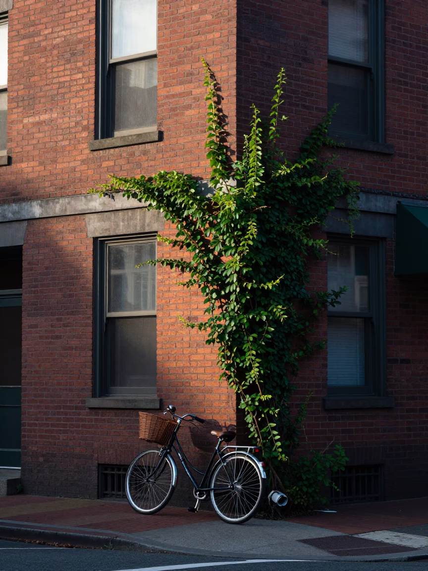 Early Morning Portland Oregon Street Scene with Bicycle Basket and Vine in in Portland, Oregon, United States