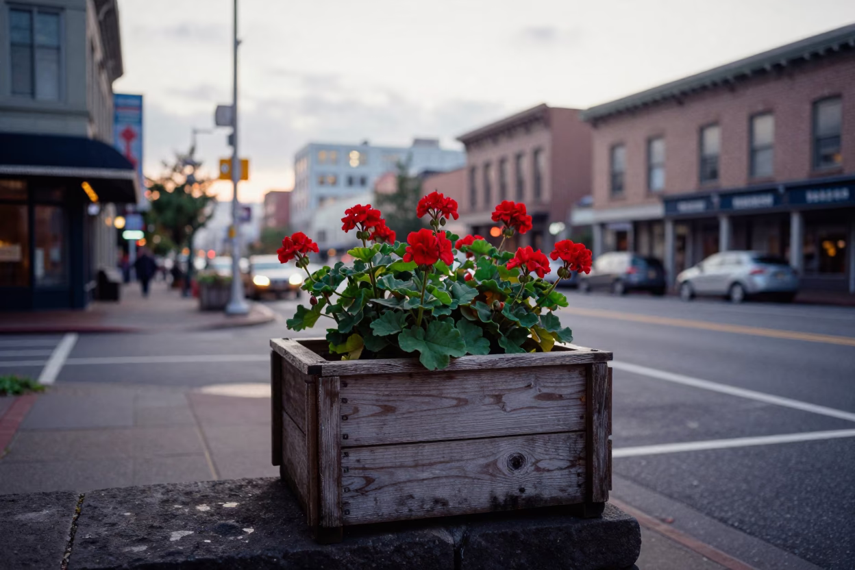 Early Morning Portland Oregon Street Scene with Potted Geraniums and Local Architecture in in Portland, Oregon, United States