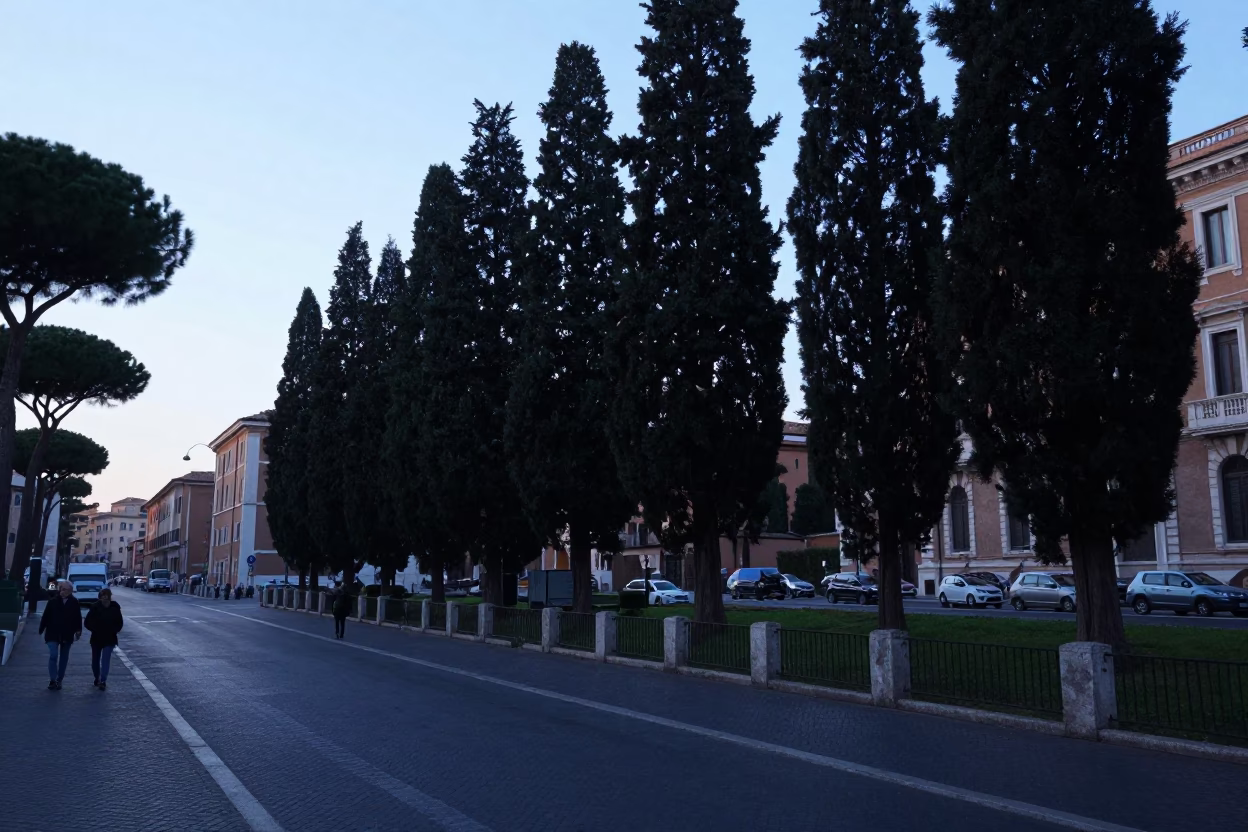 Early Morning Rome Street Scene with Cypress Trees and Local Life in in Rome, Italy