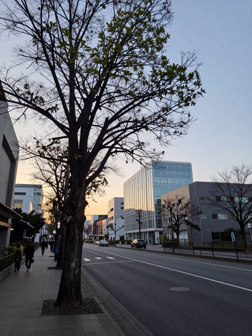 Early Morning Sapporo Street Scene with Tree and Glass Bottles in in Sapporo, Japan