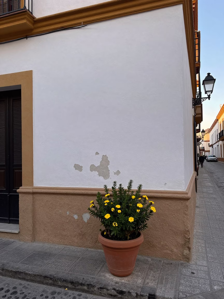 Early Morning Seville Street Scene with Flowerpot and Yellow Taxi in Spain in in Seville, Spain