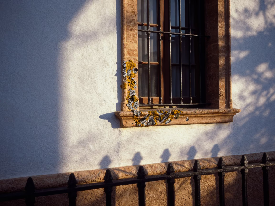 Early Morning Seville Street Scene with Lichen and Window Light in in Seville, Spain