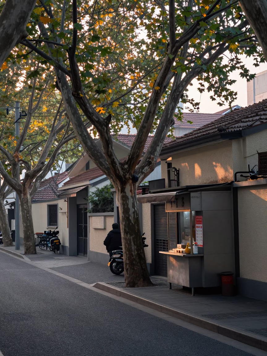 Early Morning Shanghai Street Scene with Copper Beech Tree and Traditional Breakfast Stall in in Shanghai, China