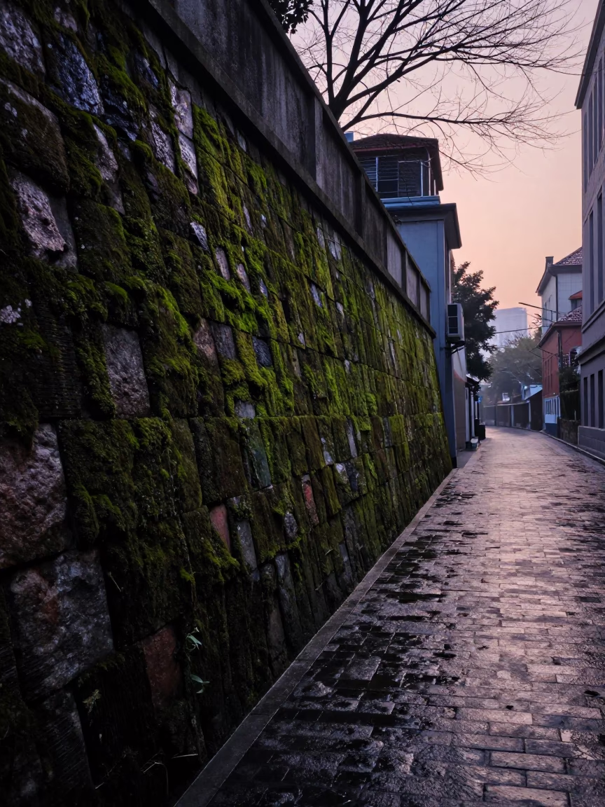 Early Morning Shanghai Street Scene with Mossy Stone Wall and Vendor Cabbages Before Sunrise in in Shanghai, China