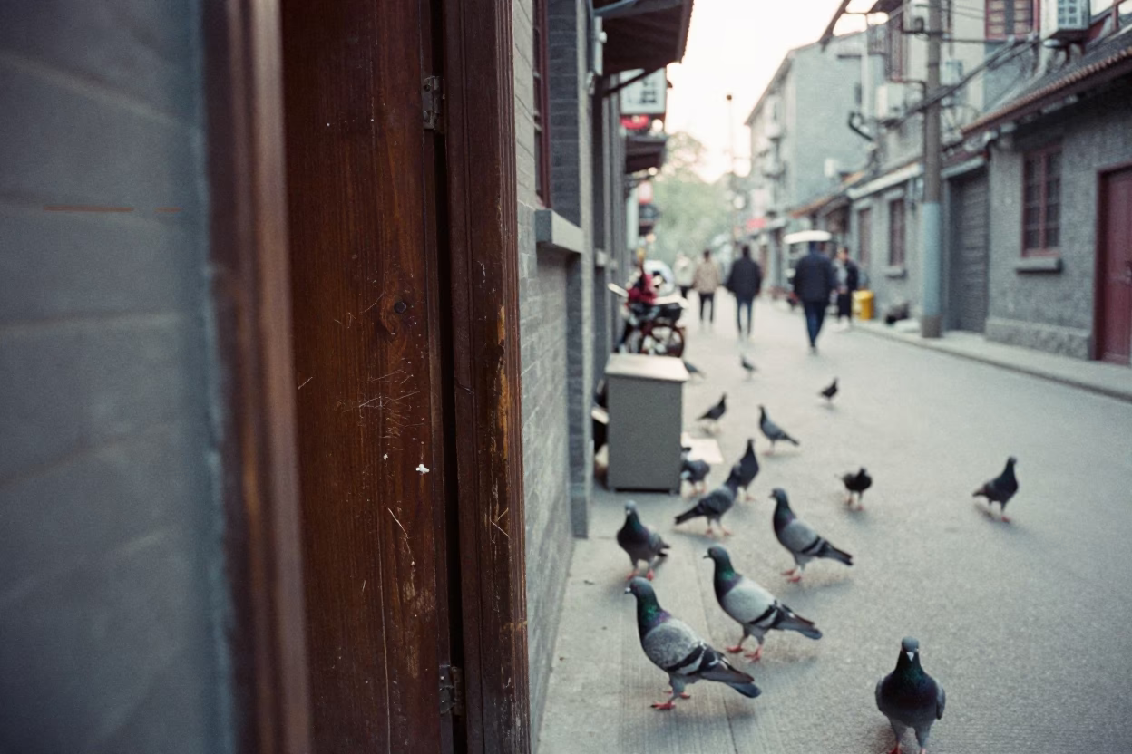 Early Morning Shanghai Street Scene with Pigeons and Worn Doorframe Details in in Shanghai, China