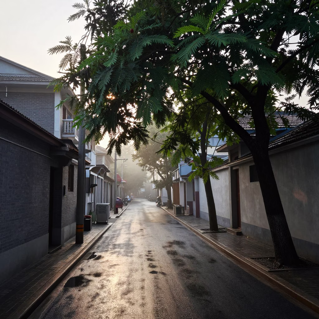 Early morning Shanghai street scene with wet pavement and tamarind tree foliage in in Shanghai, China