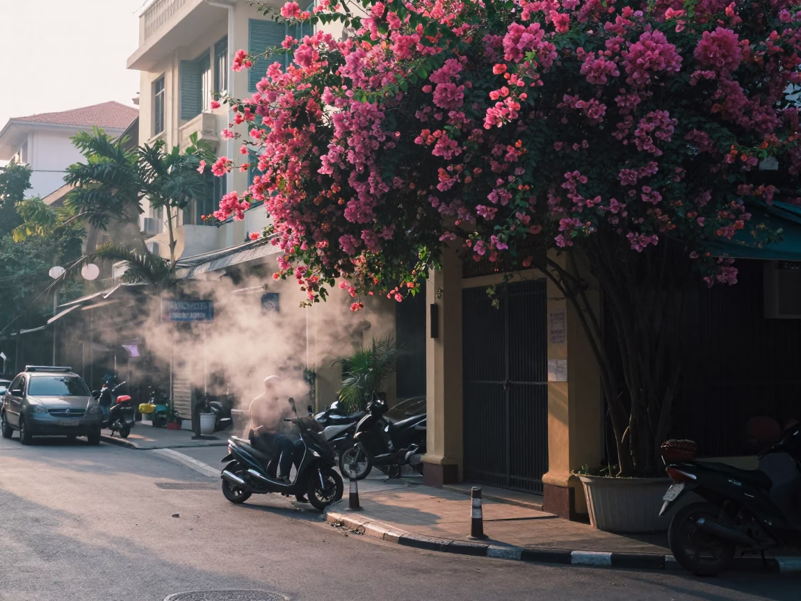 Early Morning Street Scene in Ho Chi Minh City Vietnam with Bougainvillea and Steam in in Ho Chi Minh City, Vietnam