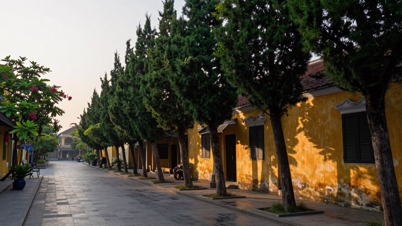 Early Morning Street Scene in Hoi An Vietnam with Cypress Trees and Local Life in in Hoi An, Vietnam