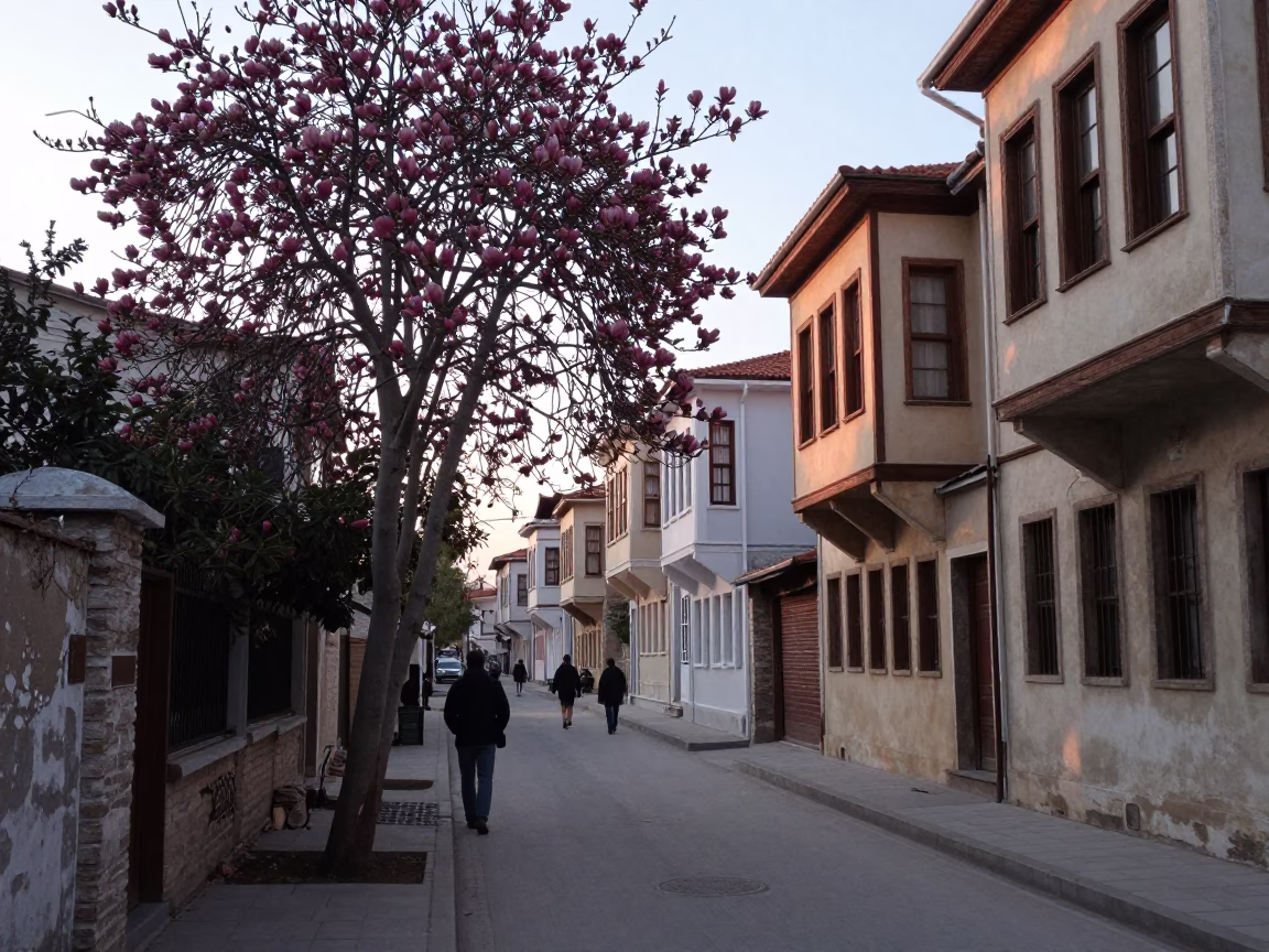 Early Morning Street Scene in Izmir Turkey with Magnolia Tree and Local Vendor in in Izmir, Turkey