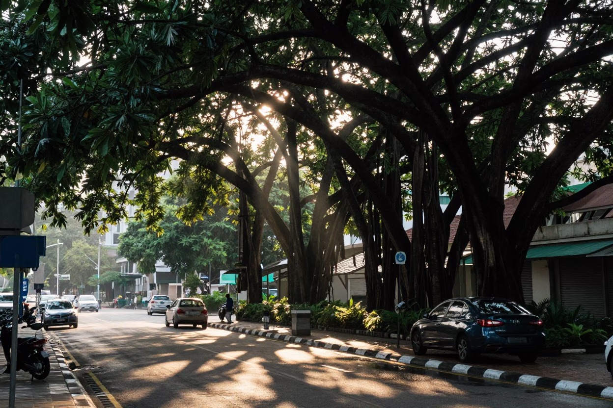 Early Morning Street Scene in Kuala Lumpur Malaysia with Banyan Tree and Taho Vendor in in Kuala Lumpur, Malaysia
