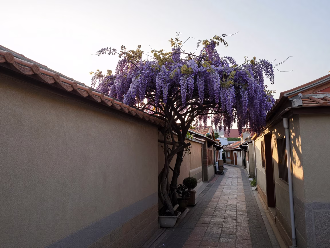 Early Morning Street Scene in Tainan Taiwan with Wisteria and Weathered Walls in in Tainan, Taiwan