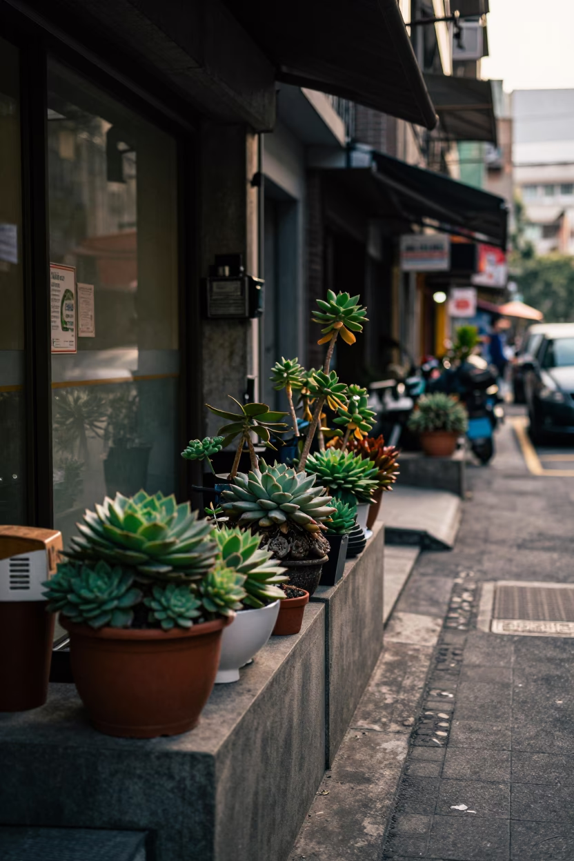 Early Morning Street Scene in Taipei Taiwan with Potted Succulents and Glass Railings in in Taipei, Taiwan