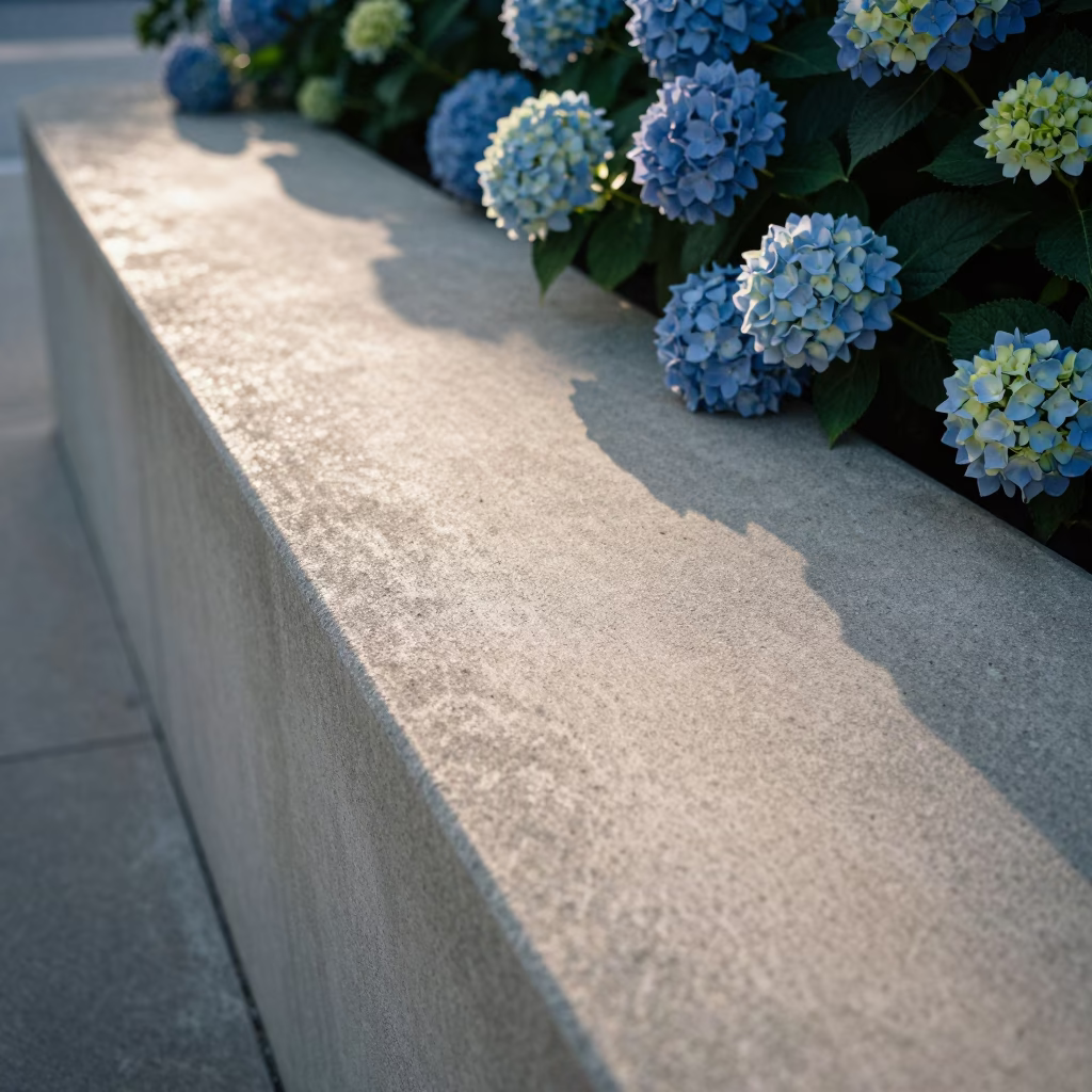 Early Morning Sunlight Stripes on Austin Texas Countertop with Hydrangea Bush in in Austin, Texas, United States