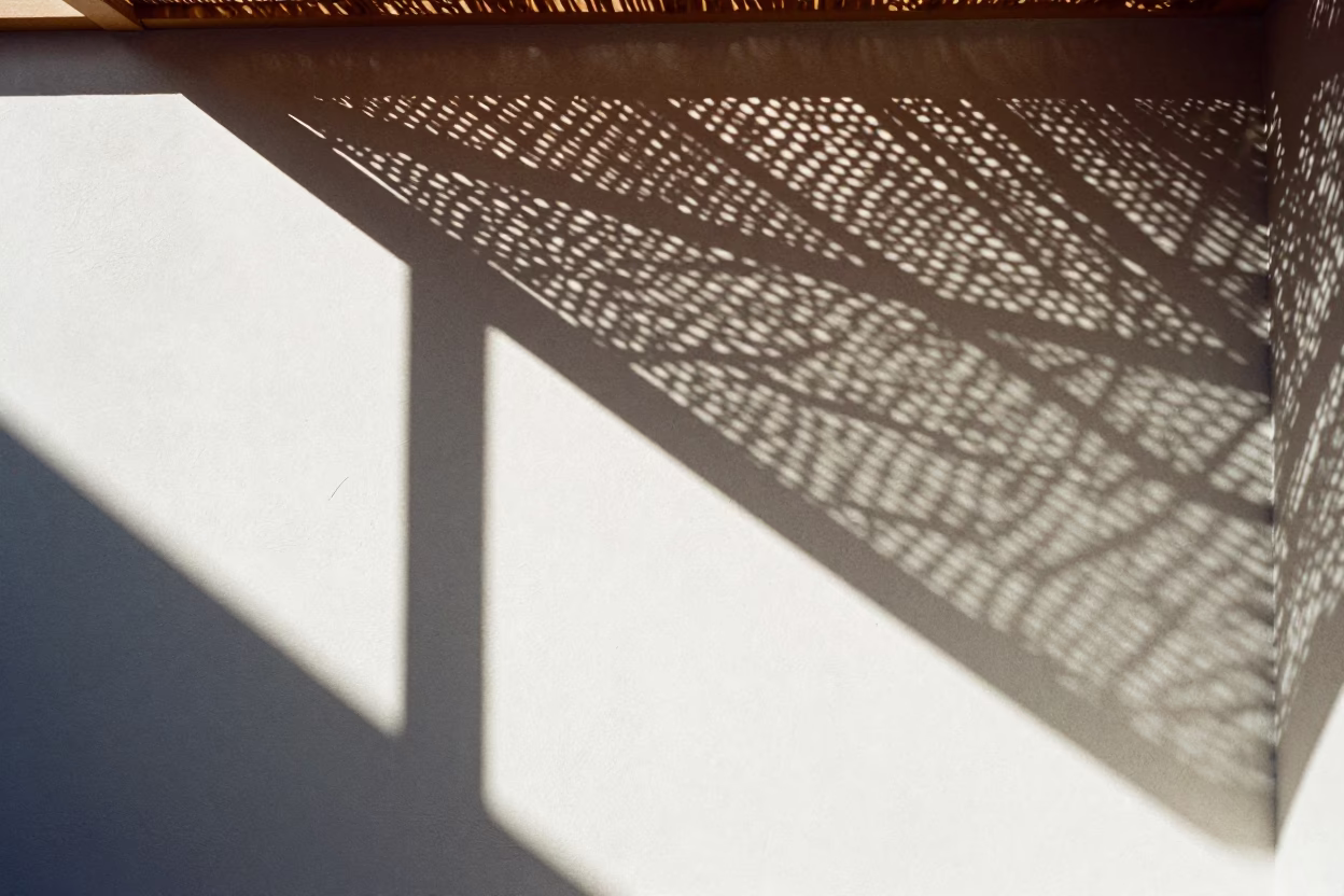Early Morning Sunlight Through Woven Cane Shadows on Perth Plaster Wall in in Perth, Western Australia, Australia