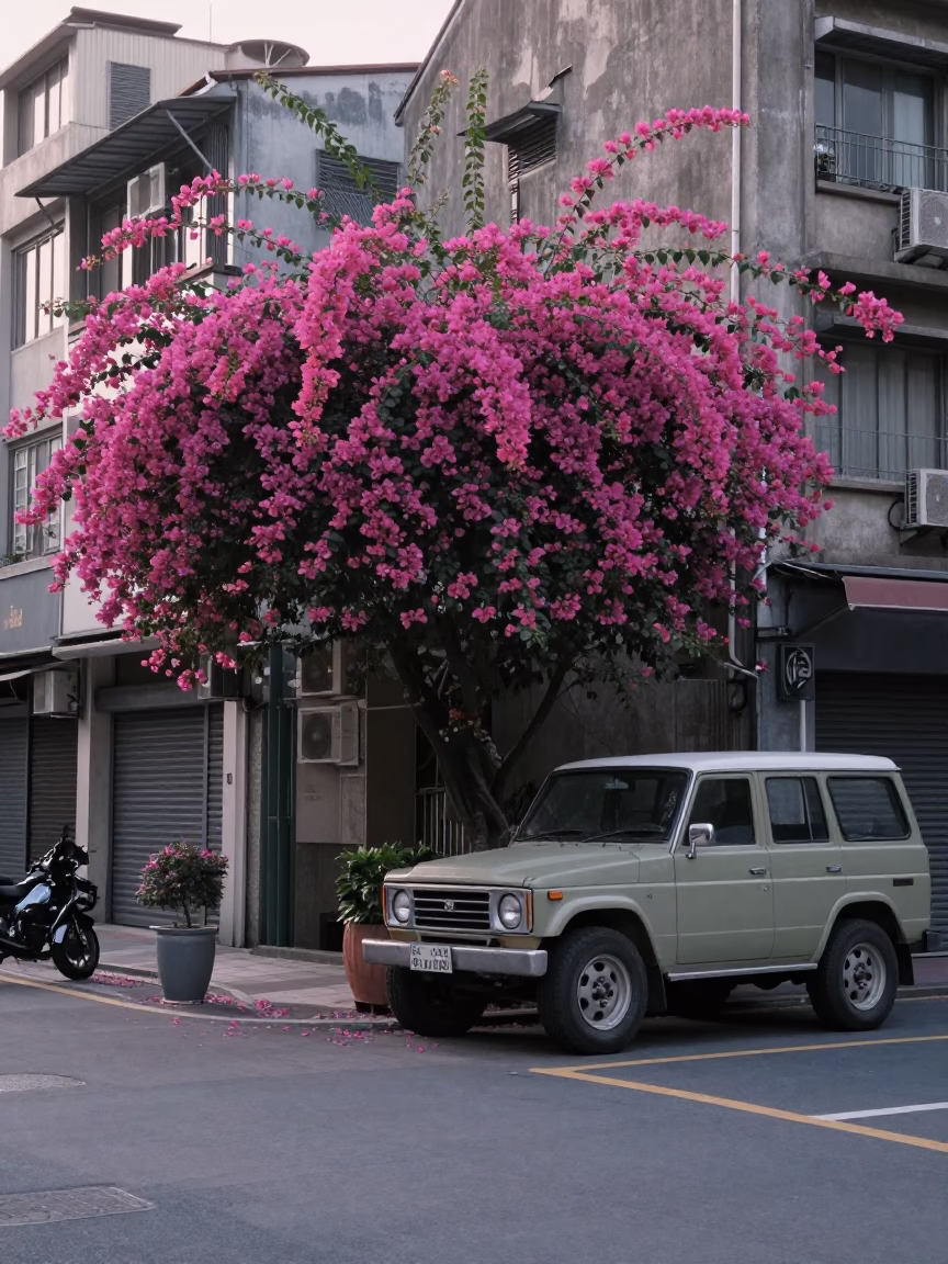 Early Morning Taipei Street Scene with Bougainvillea and Vintage Life in in Taipei, Taiwan