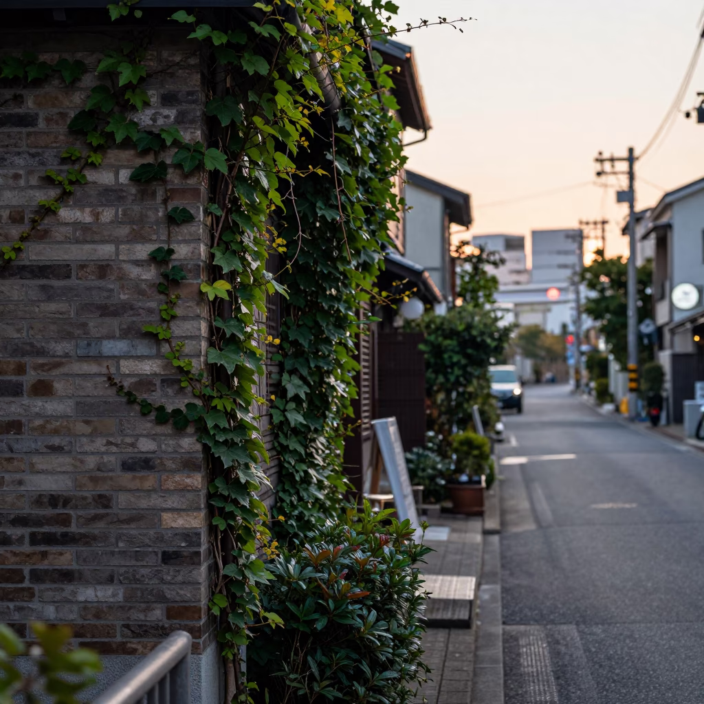 Early Morning Tokyo Street Scene with Ivy Vines and Sunlight on Glass in in Tokyo, Japan