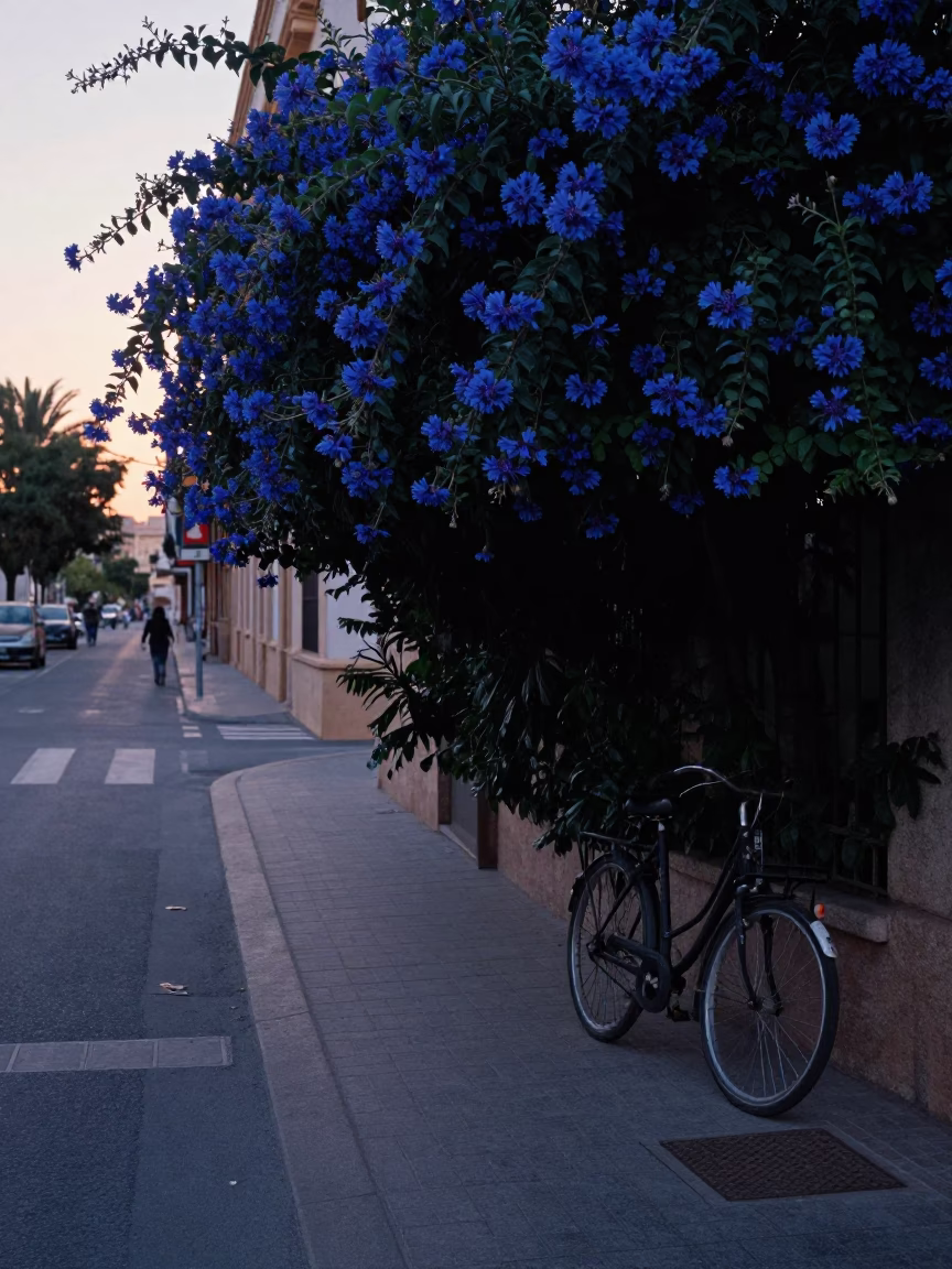 Early Morning Valencia Street Scene with Bicycle and Plumbago Hedge Before Sunrise in in Valencia, Spain