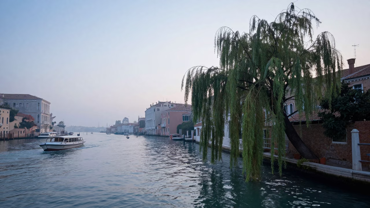 Early Morning Venice Canal Scene with Willows and Boats Before Sunrise in in Venice, Italy