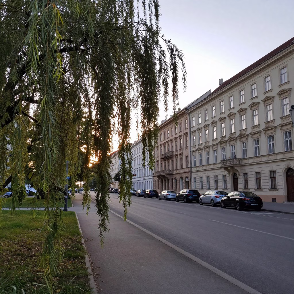 Early Morning Vienna Street Scene with Willows and Traditional Architecture in in Vienna, Austria