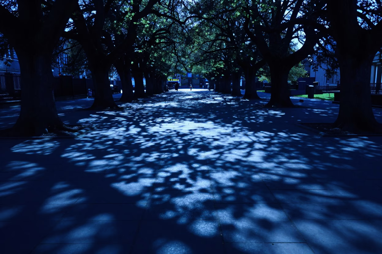 Edinburgh Evening Blue Hour Leaf Shadows on Tiled Floor Near Grassmarket University in in Edinburgh, United Kingdom