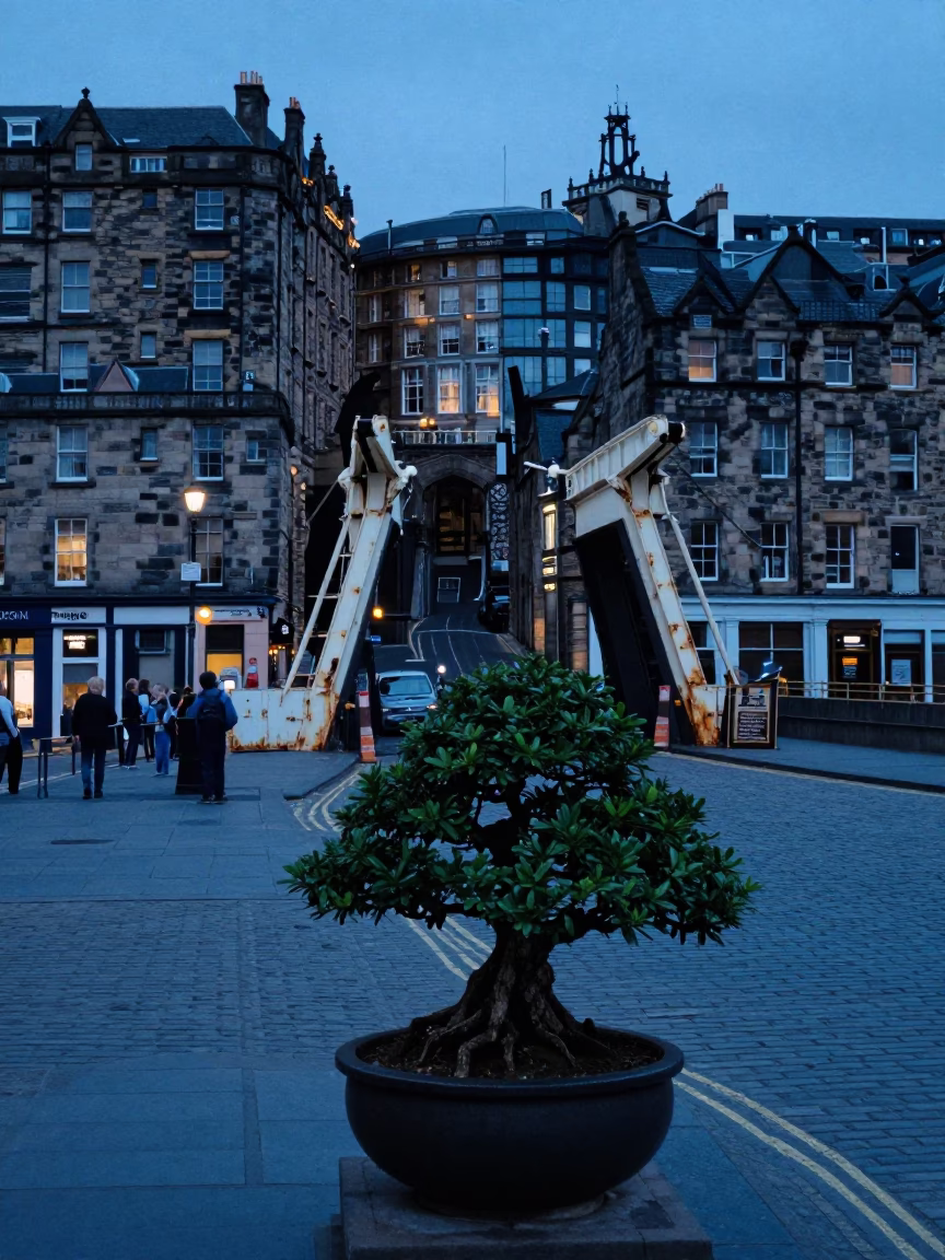 Edinburgh Evening Street Scene with Jade Plant Bonsai and Rustic Drawbridge Details in in Edinburgh, United Kingdom