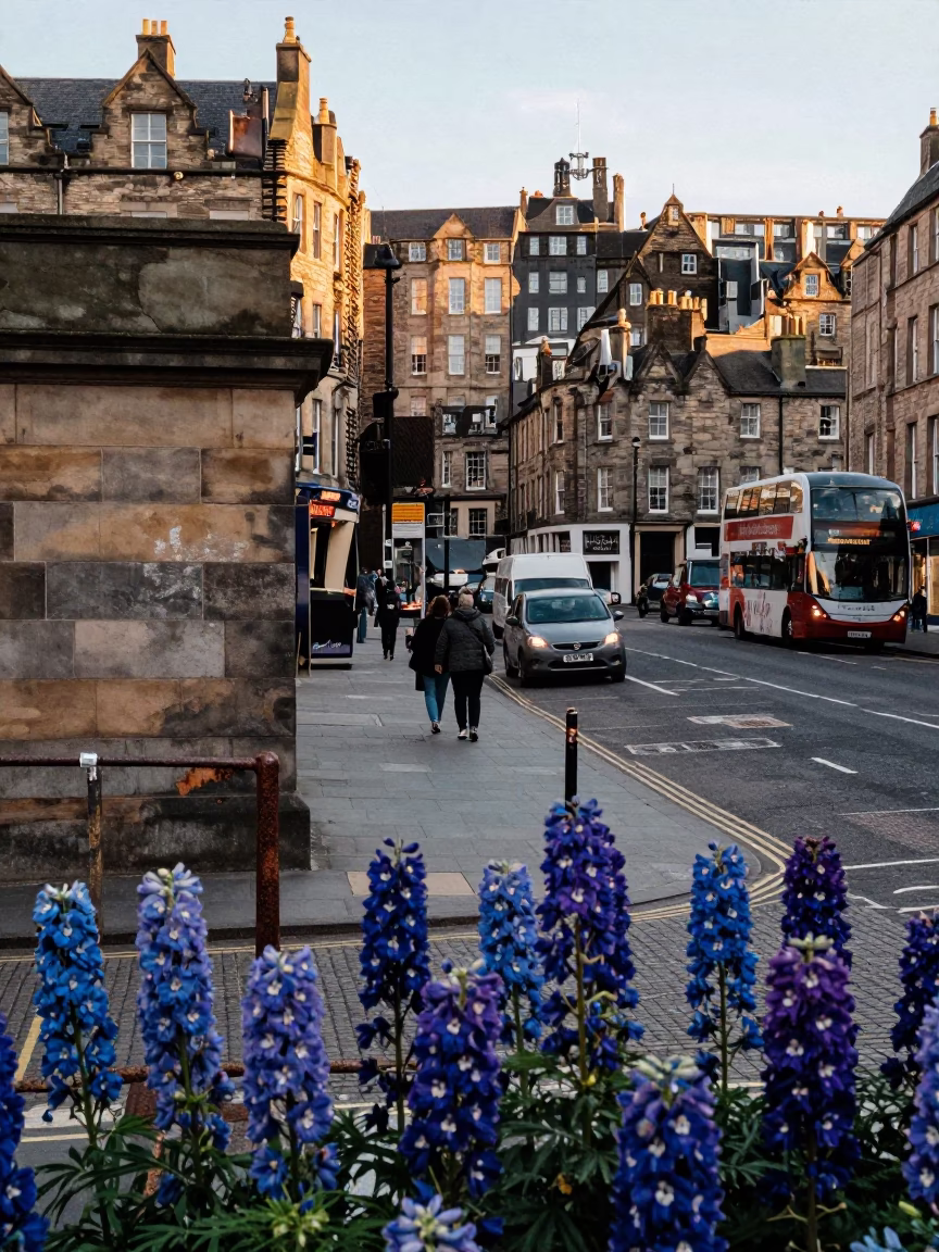 Edinburgh Late Afternoon Street Scene with Delphinium Border and Safety Razor on Window Sill in in Edinburgh, United Kingdom